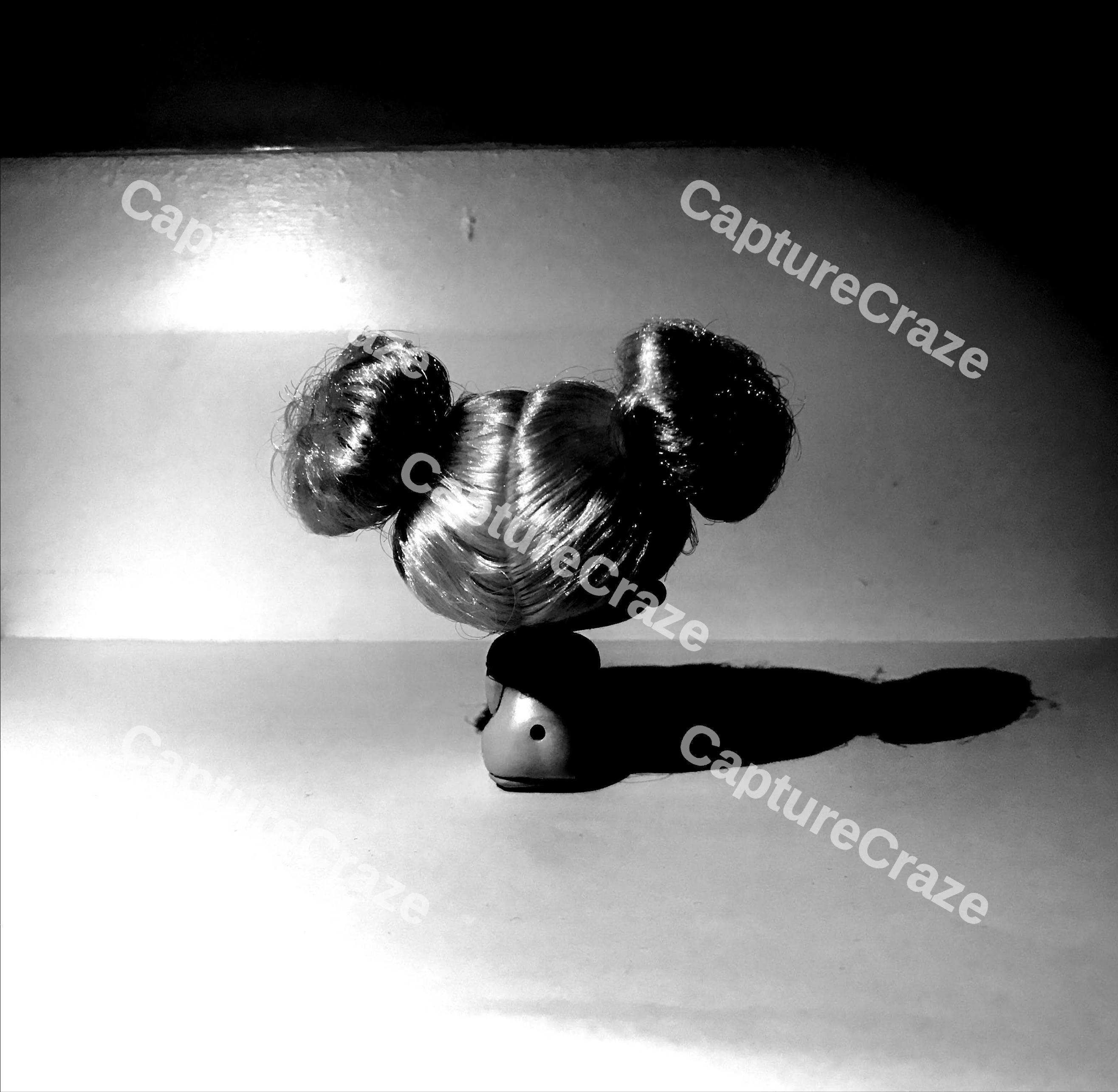 Toy In Black And White